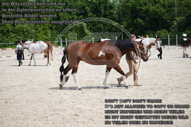 s_A_900262.JPG